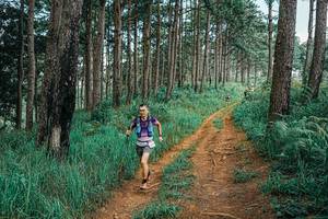 BIB: 
                            <button type="button" onclick="openModal(25740373)" class="btn btn-primary btn-sm float-right btn-popup" data-toggle="modal" data-target=".modal-high-quality">
                        <i class="fas fa-shopping-cart"></i> Add to Cart
                    </button>
                                            <button type="button" onclick="isThisMe(25740373, true)" class="btn btn-success btn-sm float-right btn-popup btn-isme hidden" data-toggle="tooltip" data-placement="bottom" title="นี่คือรูปของคุณใช่ไหม คลิกที่นี่เพื่อเอาเข้าอัลบั้ม">
                        <i class="fas fa-plus"></i> Add to album
                    </button>
                    <button type="button" onclick="isThisMe(25740373, false)" class="btn btn-warning btn-sm float-right btn-popup btn-isnotme hidden">
                        <i class="fas fa-ban"></i> Remove from album
                    </button>